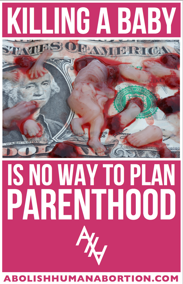 Killing A Baby Is No Way To Plan Parenthood Sign